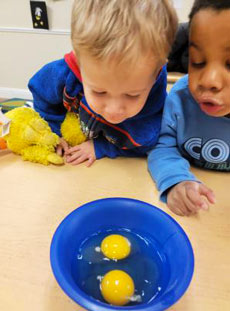 164 Explorers Preschool Egg Exploration And Diversity 2 Web