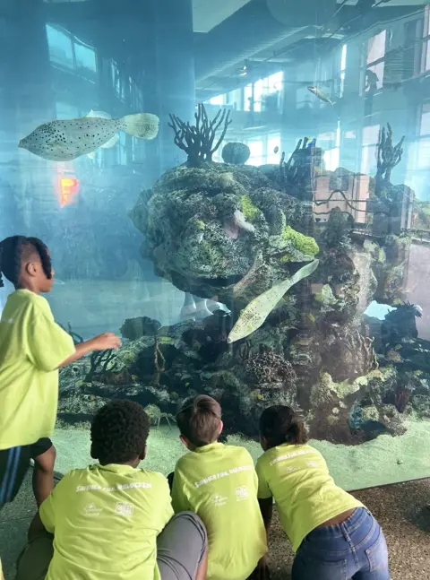 28 Field Trip Web