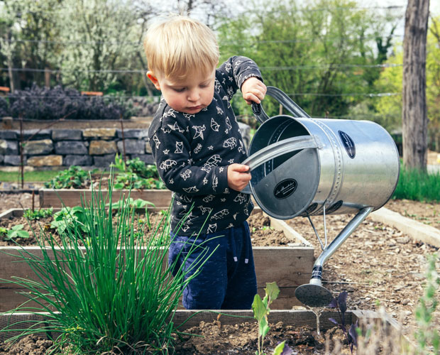 6 Easy Steps To Starting A Garden With Your Kids