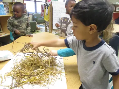 30 Nest 3