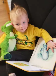 164 Reading Books Dinosaurs Web