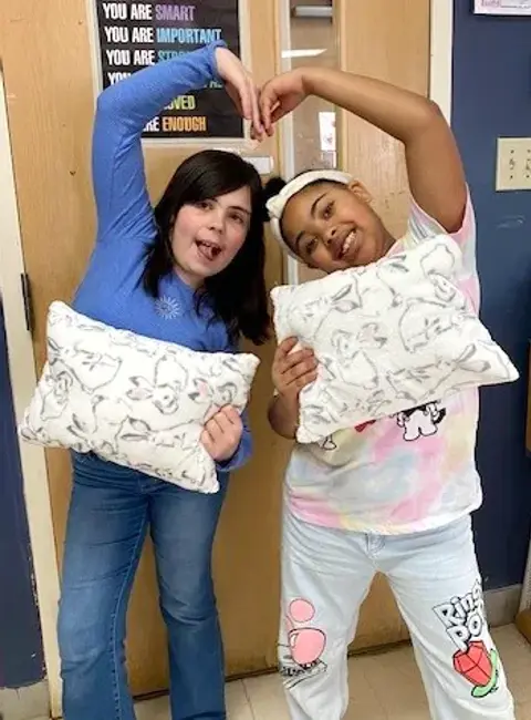 80 Pillow Cases