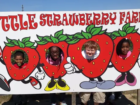 21Strawberries 2