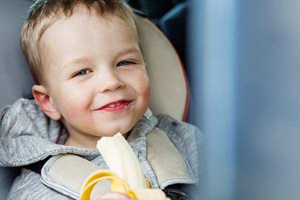 Top 8 Healthy Snacks For Kids On The Go This Holiday Season