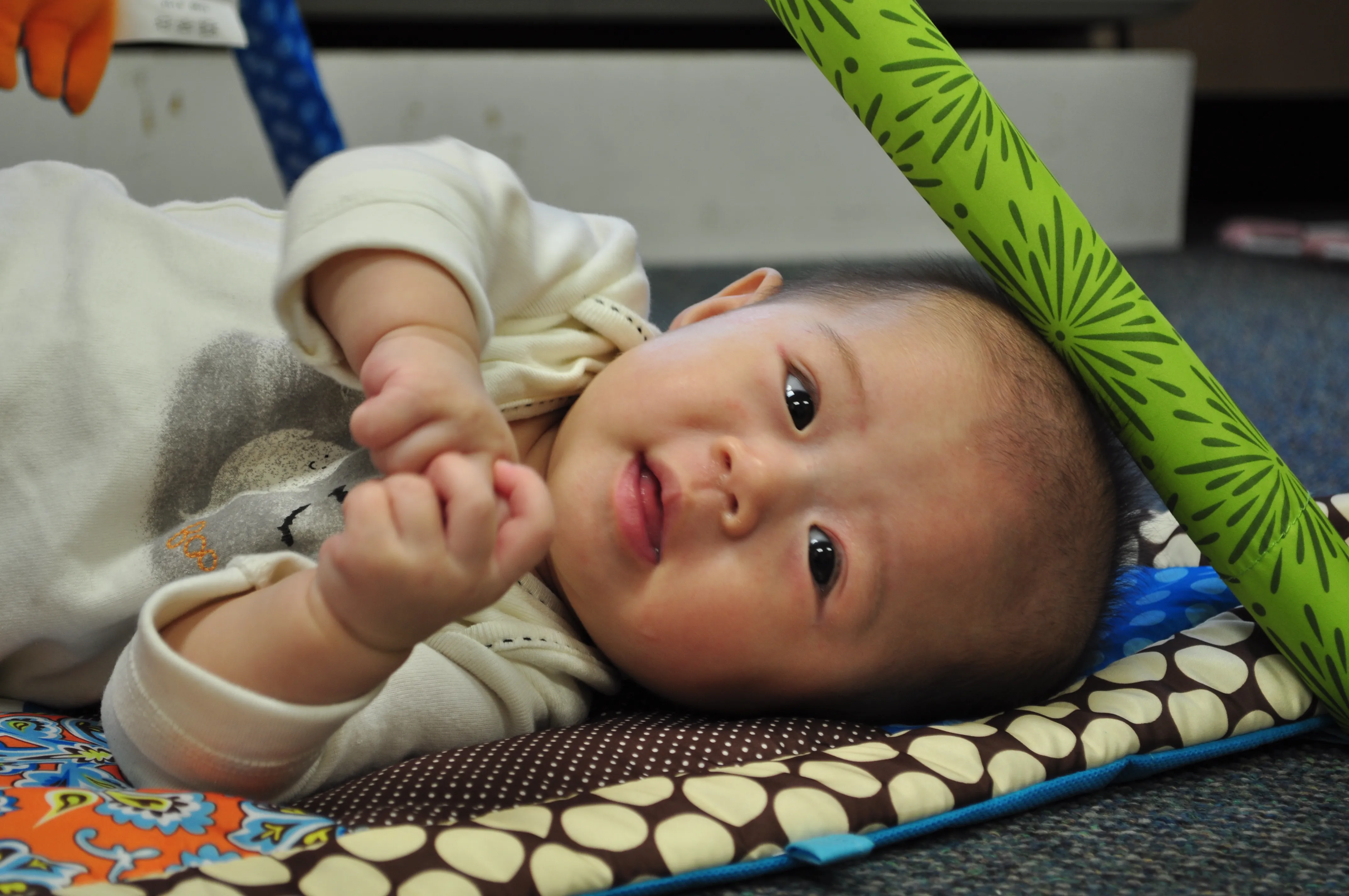 Pro Baby 08